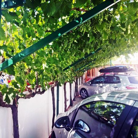 Apartments Eugen Pedisic Turanj Dış mekan fotoğraf